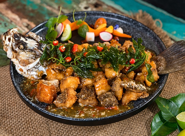food-dish